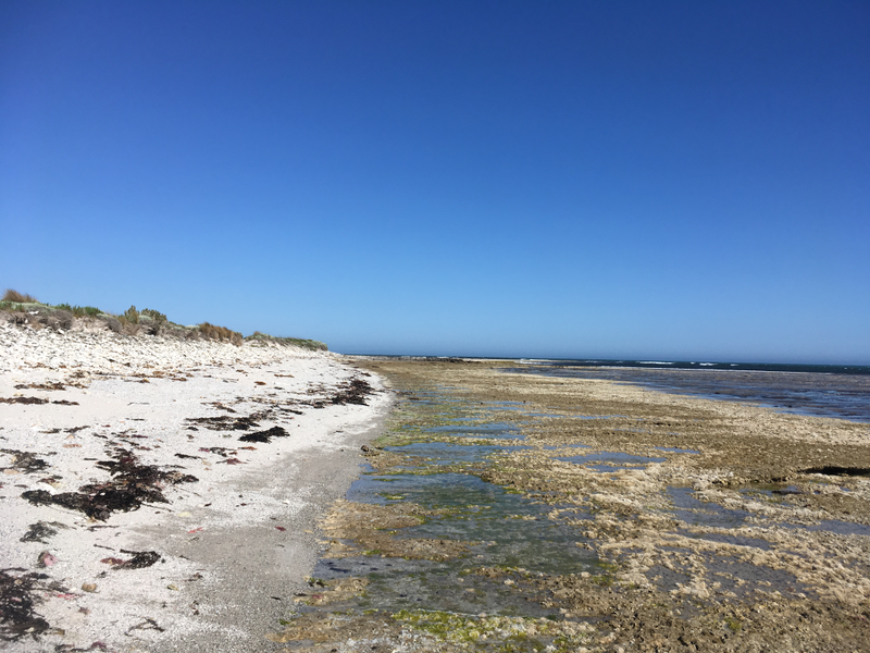 Illustration for article titled Return to the Coorong & Legend of the Lakes